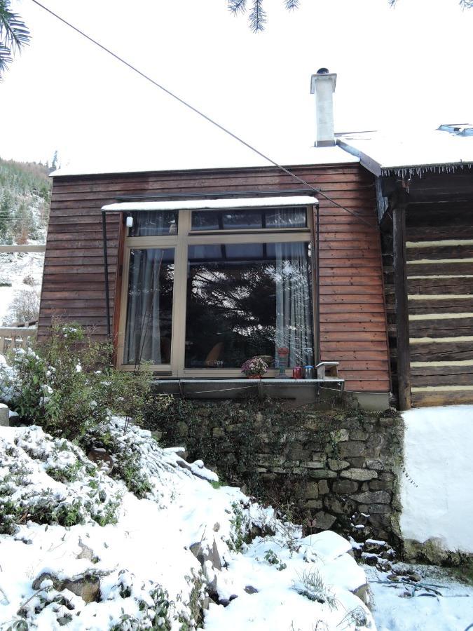 Atelier Eliska Apartment Staré Hory Exterior photo